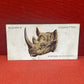 John Player & Sons Wild Animal Heads Cigarette Cards 1931