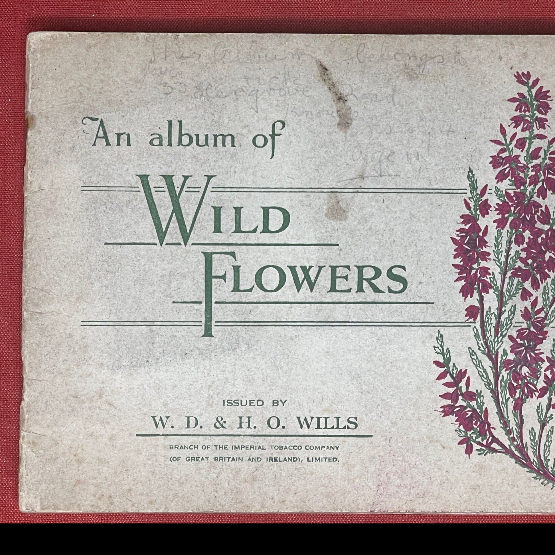 WD & HO Wills Wild Flowers Cigarette Card Album