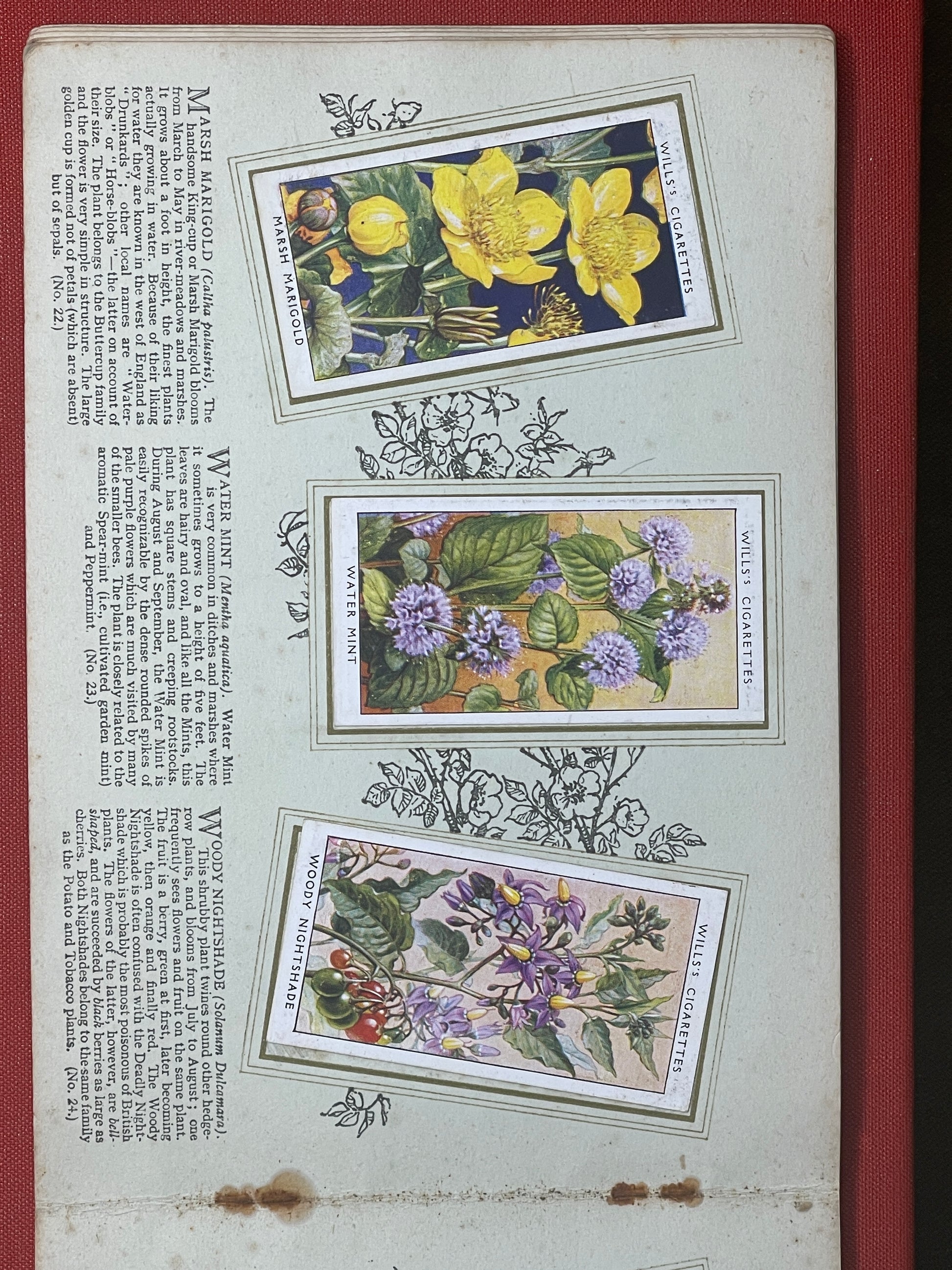 flower cigarette cards Roses - Kensitas Silk Flowers Cigarette Cards