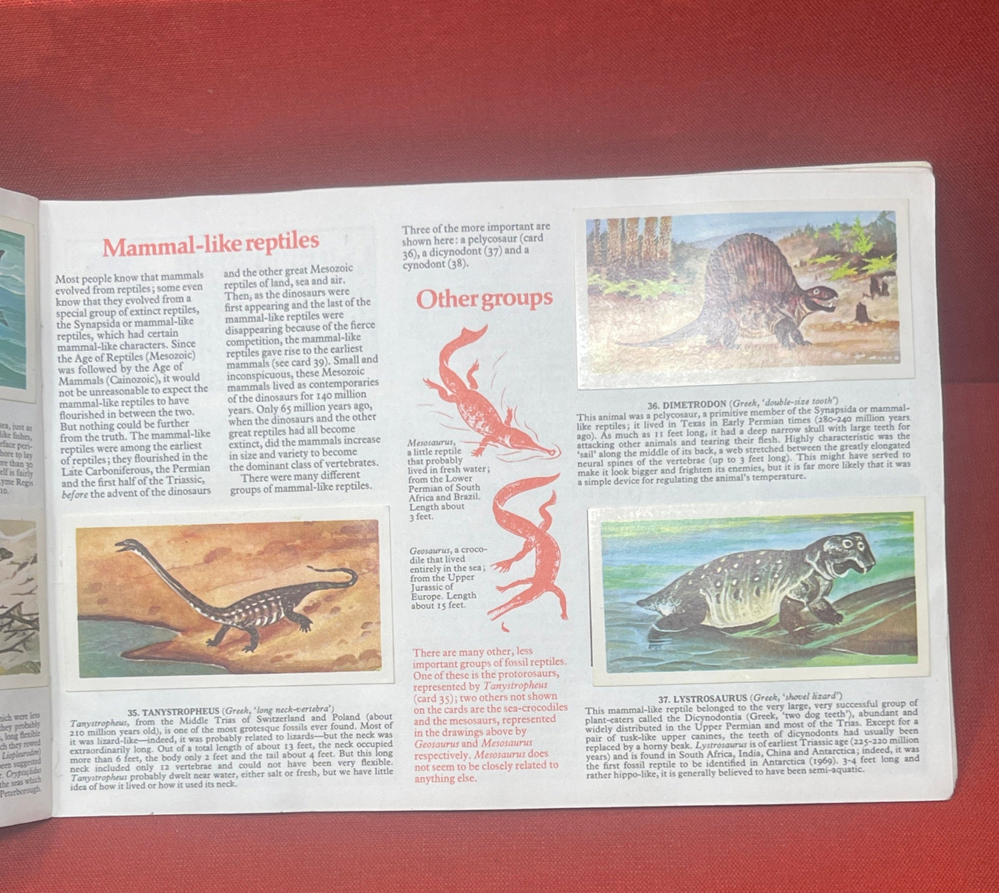 Brooke Bond Picture Cards Prehistoric Animals