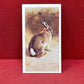 Players British Mammals Grandee Ltd Issue 1982 Cigarette Cards