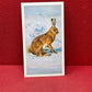 Players British Mammals Grandee Ltd Issue 1982 Cigarette Cards