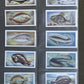 White Fish Authority" The Fish We Eat" Cigarette Cards