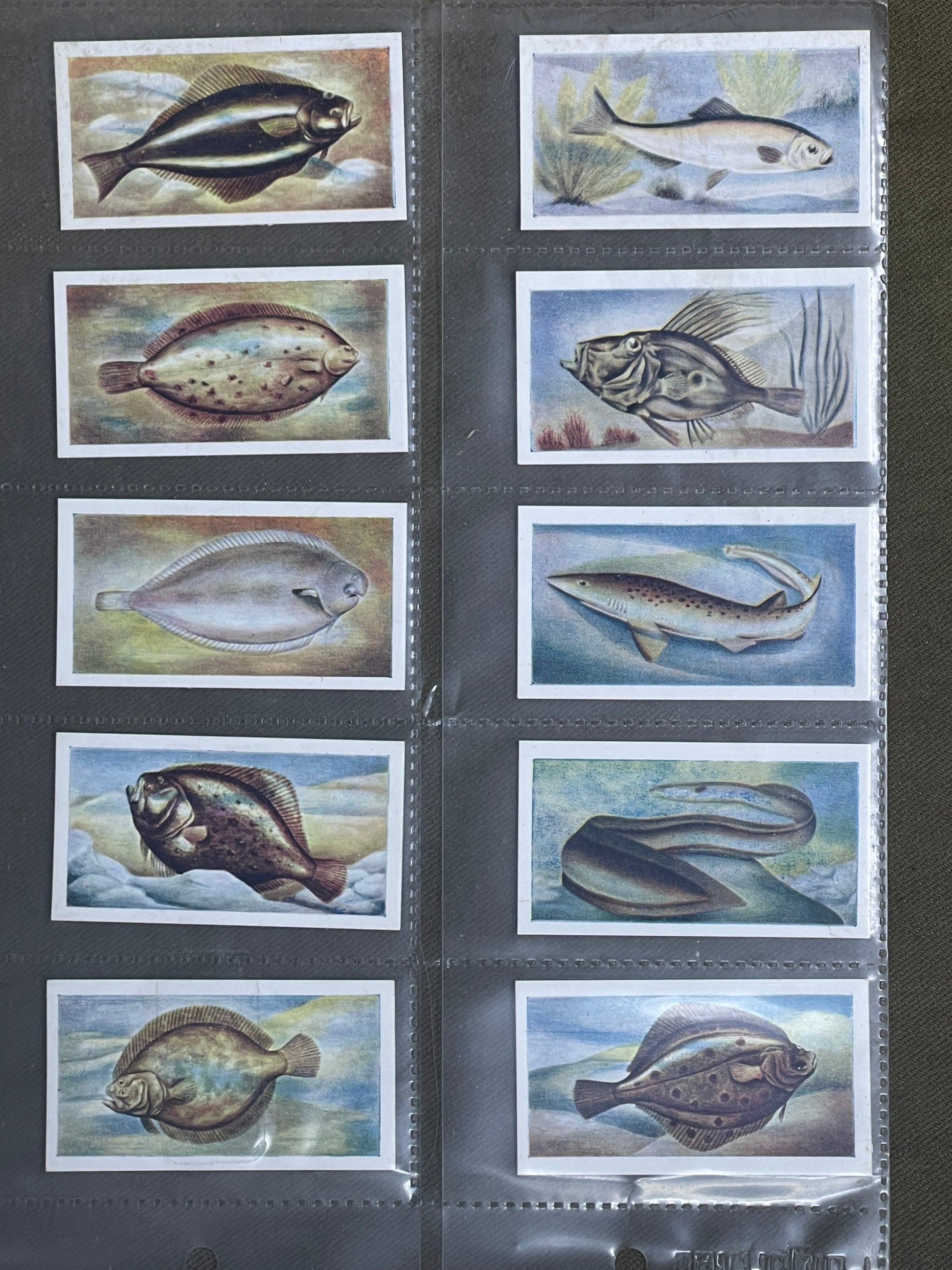 White Fish Authority" The Fish We Eat" Cigarette Cards