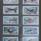 White Fish Authority" The Fish We Eat" Cigarette Cards