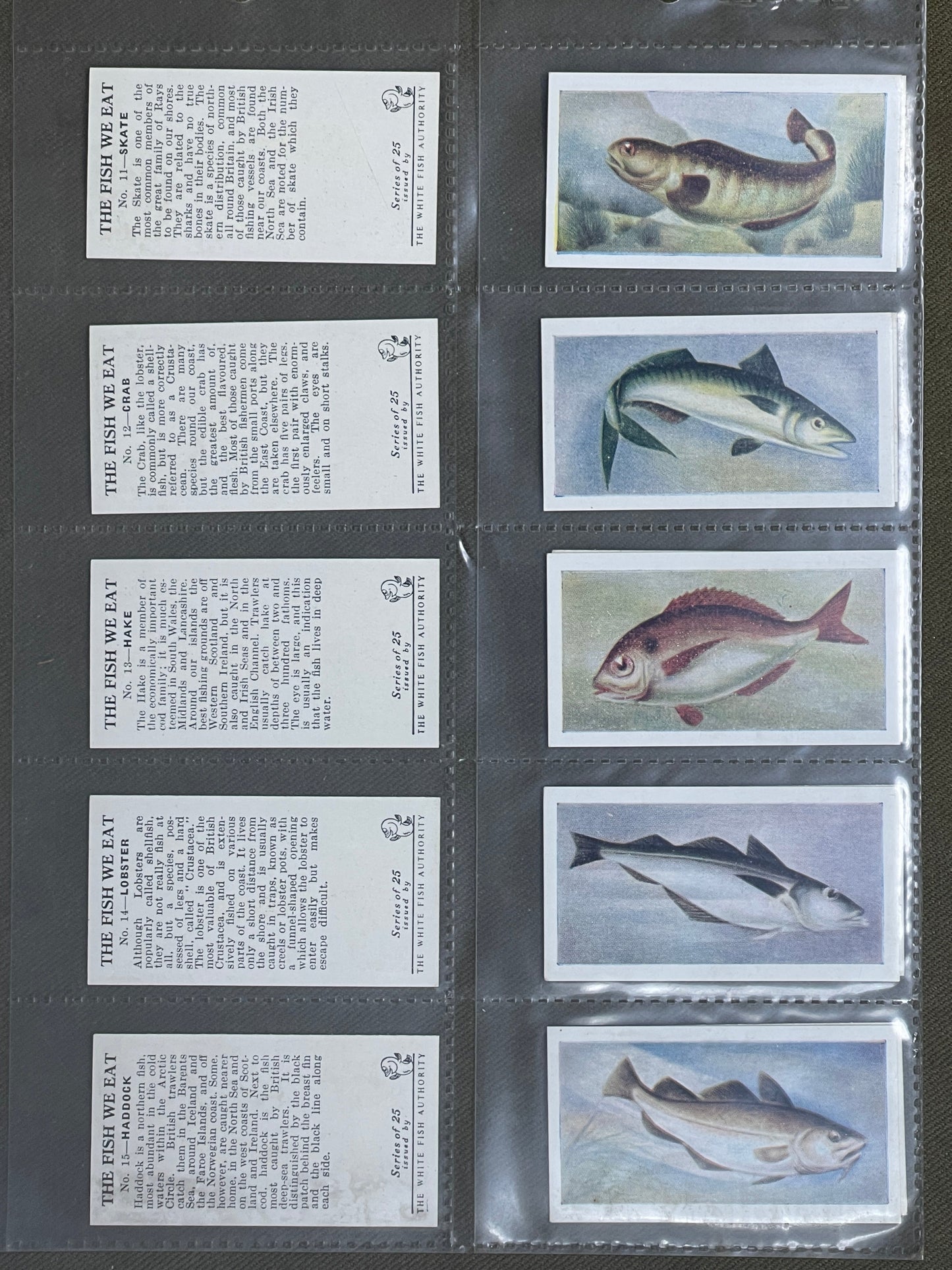 White Fish Authority" The Fish We Eat" Cigarette Cards