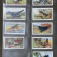 Gallaher Ltd British Birds Cigarette Cards