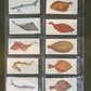 Sport Fish Cigarette Cards by Carreras Craven Black Cat