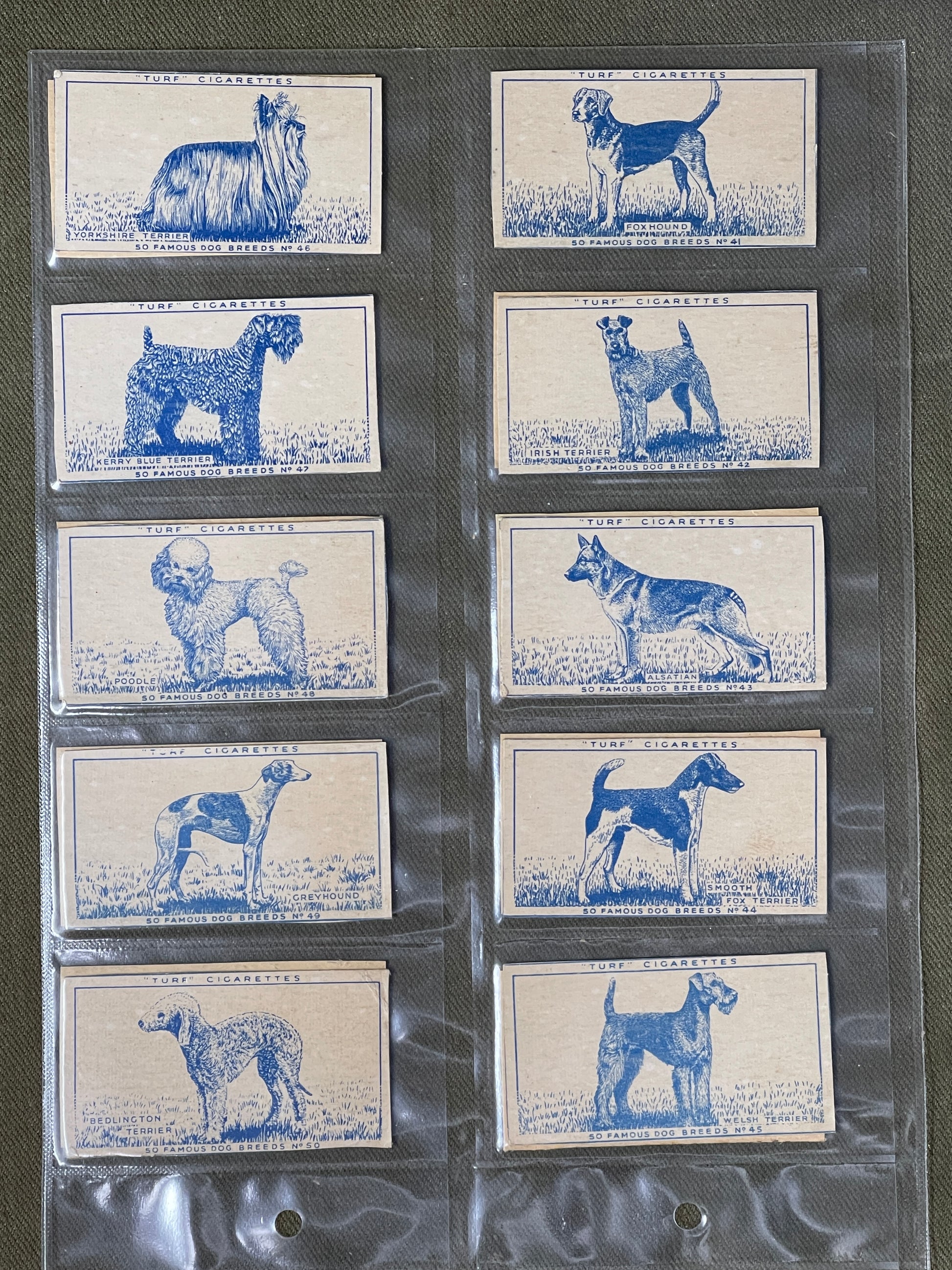 cigarette cards dogs Turf Cigarettes 50 Famous Dog Breeds Cigerette Cards 1956 cigarette cards dogs Turf Cigarettes 50 Famous Dog Breeds Cigerette Cards 1956