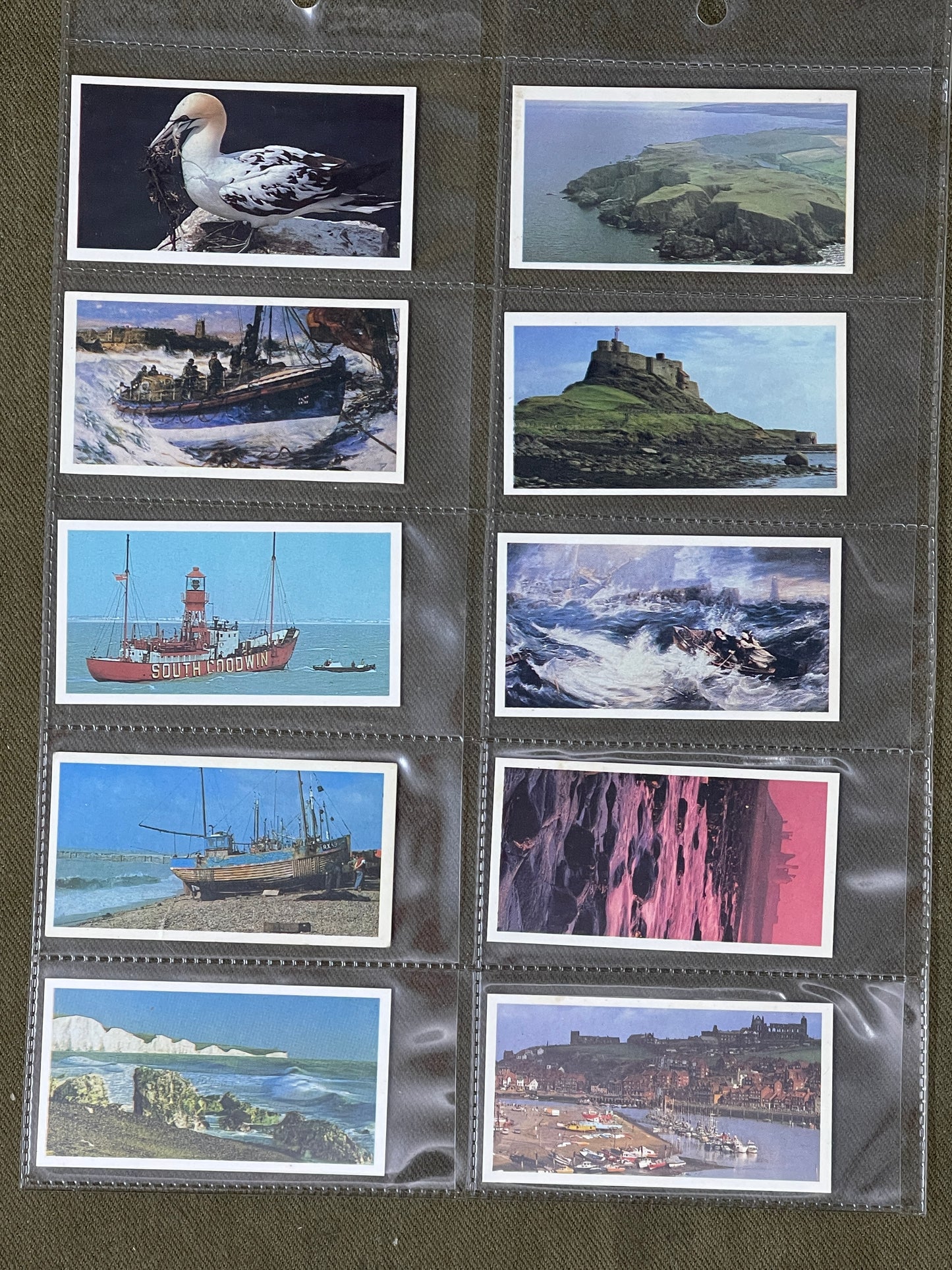 Discovering Our Coast Standard Set blue back 1989 Brooke Bond