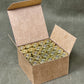 25 Inert 9mm Rounds in Repro Italian WWII Box